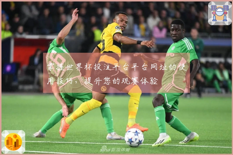 掌握世界杯投注平台平台网址的使用技巧，提升您的观赛体验