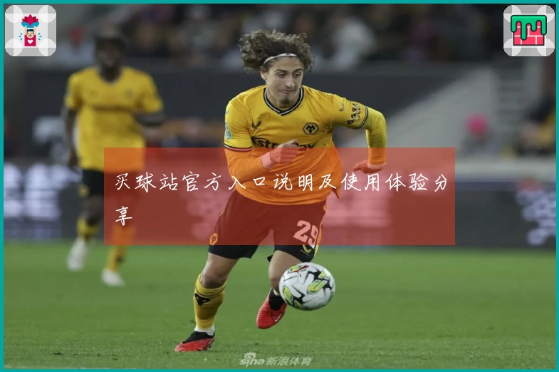 买球站官方入口说明及使用体验分享