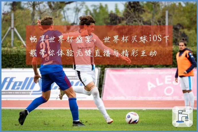 畅享世界杯盛宴，世界杯买球iOS下载带你体验无缝直播与精彩互动