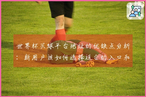 世界杯买球平台地址的优缺点分析：新用户该如何选择适合的入口和功能？