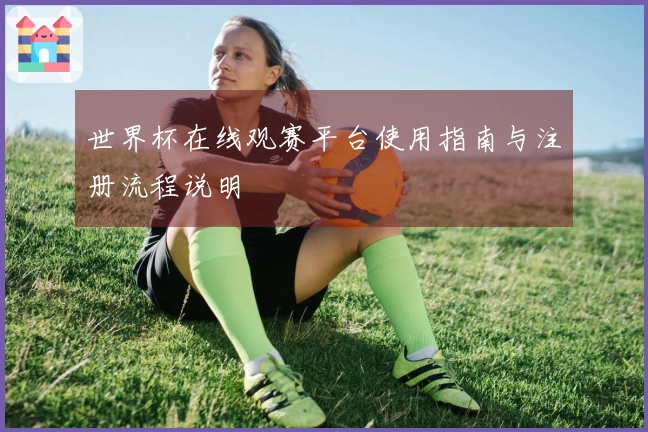 世界杯在线观赛平台使用指南与注册流程说明