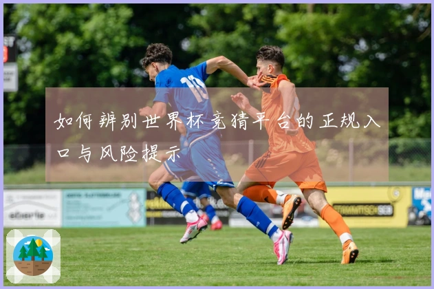如何辨别世界杯竞猜平台的正规入口与风险提示