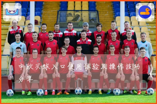 中欧买球入口使用体验及操作技巧分享