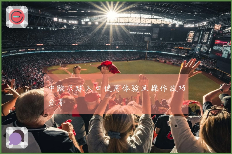 中欧买球入口使用体验及操作技巧分享