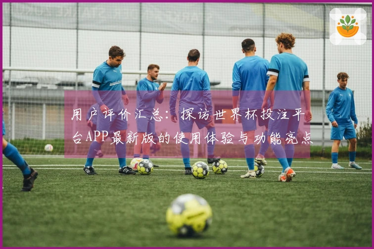 用户评价汇总：探访世界杯投注平台APP最新版的使用体验与功能亮点