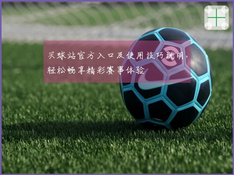 买球站官方入口及使用技巧说明，轻松畅享精彩赛事体验