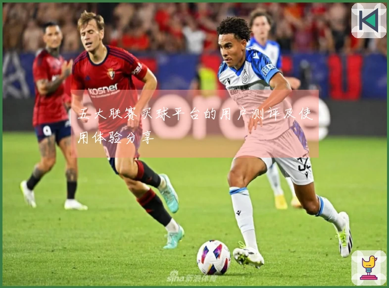 五大联赛买球平台的用户测评及使用体验分享