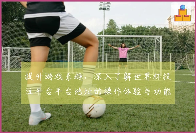 提升游戏乐趣，深入了解世界杯投注平台平台地址的操作体验与功能介绍