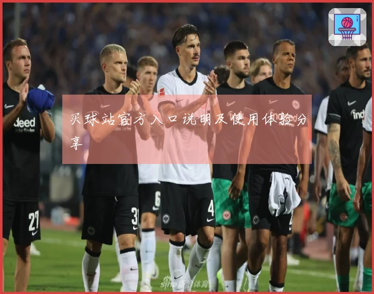 买球站官方入口说明及使用体验分享