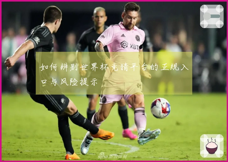 如何辨别世界杯竞猜平台的正规入口与风险提示