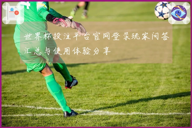 世界杯投注平台官网登录玩家问答汇总与使用体验分享