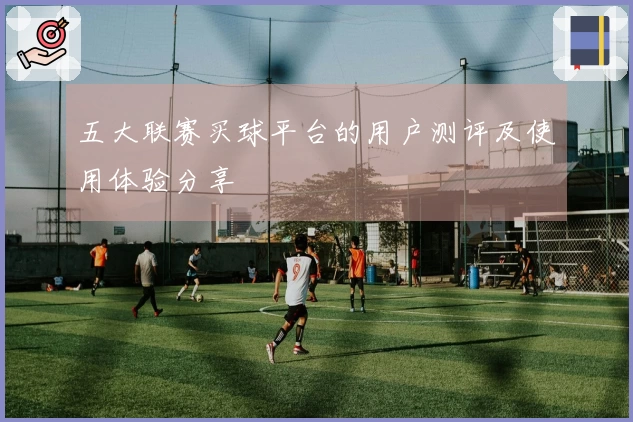 五大联赛买球平台的用户测评及使用体验分享