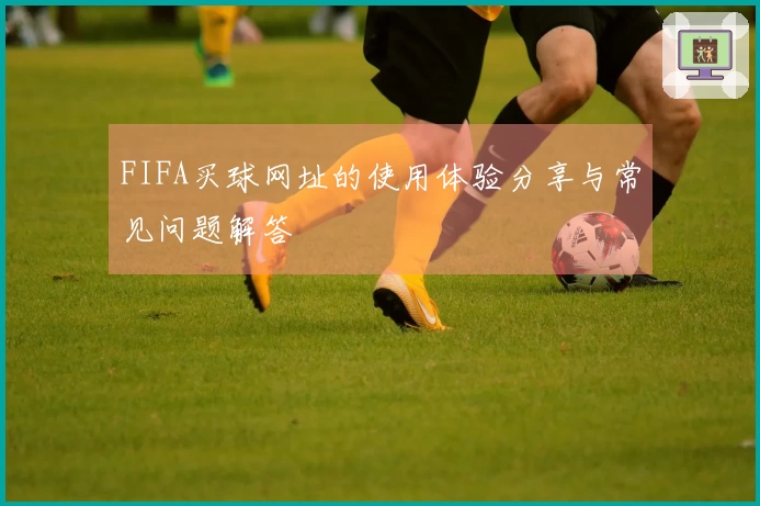 FIFA买球网址的使用体验分享与常见问题解答
