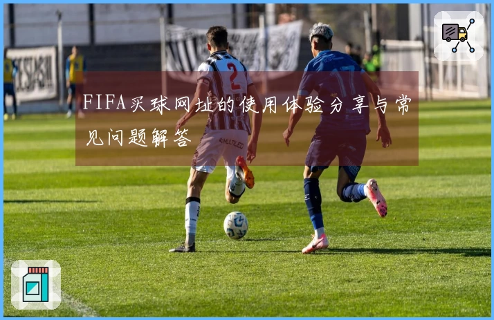 FIFA买球网址的使用体验分享与常见问题解答