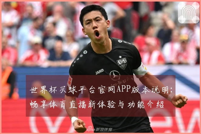 世界杯买球平台官网APP版本说明：畅享体育直播新体验与功能介绍