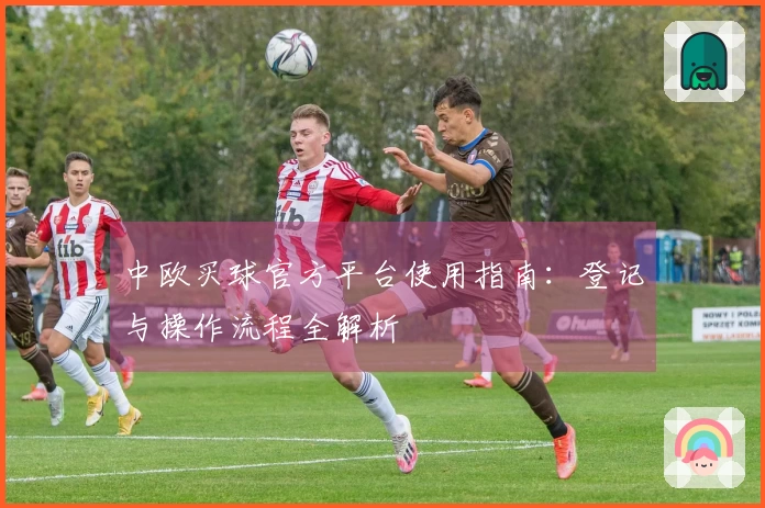 中欧买球官方平台使用指南：登记与操作流程全解析